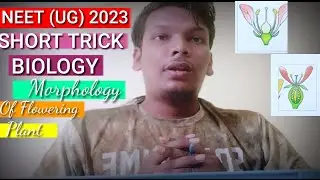 NEET UG 2023 SHORT TRICK BIOLOGY !! NEET EXAM MUST FOUR QUE IN MORPHOLOGY OF FLOWERING PLANT!!#neet