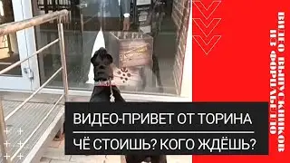 Чё стоишь? Кого ждёшь? Видео-привет от Торина из Форцабелло