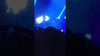 Pachyderm