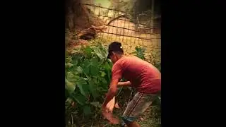 propose video🥵 ata dekar por ami 😞😞boys funny🤣 video@RPC PULAPAN#newstatus #newshorts #funny #shorts