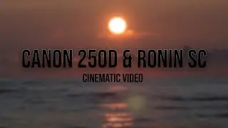CANON 250D & RONIN SC | CINEMATIC VIDEO 4K