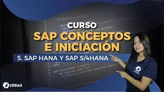 SAP Concepts and Introduction Course - 5. SAP HANA and SAP S/4HANA