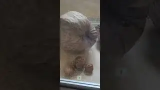 Музей адмиральтейство Николаев