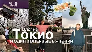 Токио: ИДЕАЛЬНАЯ поездка в ЯПОНИЮ. Цветение сакуры, лучшие места, 27 страна
