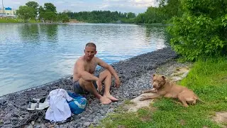 ОБЫЧНЫЙ ПАРЕНЬ ИЗ УЗБЕКИСТАНА ЖИВЕТ В РОССИИ С ДВУМЯ СОБАКАМИ