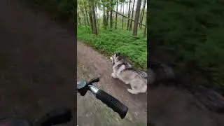 wycieczka rowerowa 2