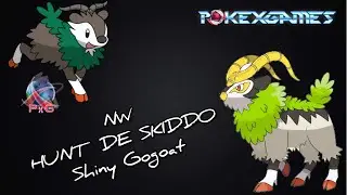 VEM COM O MASTRA!!!#PXG#SKIDDO + #SH#GOGOAT !!!!