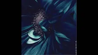 Aempoppin - Hone