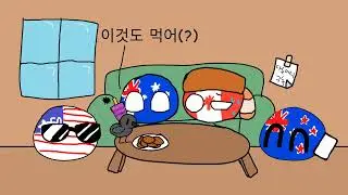 비둘기 밥 먹는걸 보는 컨트리볼들
