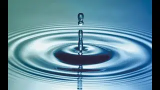 IL MONDO IN SLOW MOTION