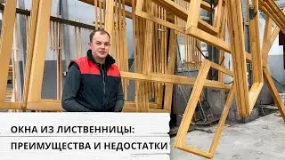 Окна из лиственницы: преимущества и недостатки