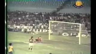 231.Товарищеский матч 1976 г. Бразилия-СССР 2-0