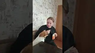 Договоры с Котиком 🐈 #рекомендации #приколы #топ #семья