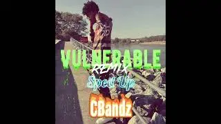 Vulnerable [Remix] (Sped Up by @djfrisco)