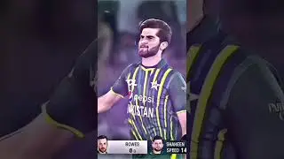 Shaheen Shah Afridi Celebration