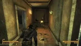 Fallout movement in 2024