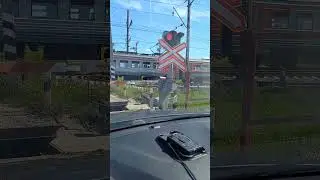 Поймали электричку у переезда Новосергиевка Колтуши.