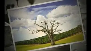 See great example of nature photography