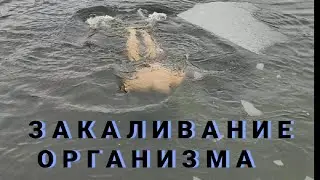 Закаливание организма.