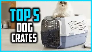 ✅Top 5 Best Dog Crates in 2024