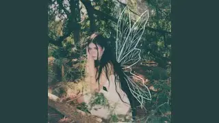 fairies