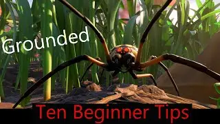 Ten Beginner Grounded Tips