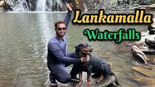 Lankamalla Waterfalls | Proddatur | #SultanTheRottweiler 🌊