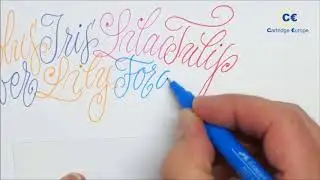 Cartridge Europe: Handlettering Demo Dag ism Faber-Castell