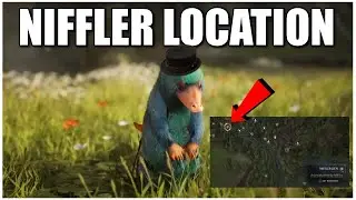 🪙Niffler Location Hogwarts Legacy
