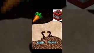 Типичные Фласка и Скретч😂