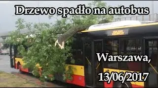 Wichura. Drzewo spadło na autobus i na samochód. Warszawa, 13/06/2017