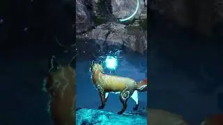 Spirit of the North: What DOES the Fox Say?