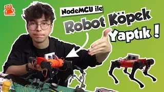 Robot Köpeğiniz Olsun İster misiniz? NodeMCU ile Robot Köpek Nasıl Yapılır? 