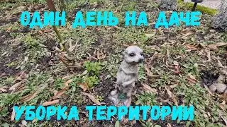 #37 Дача в Германии/Уборка территории на даче/ 
