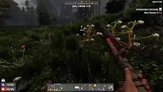 7 days to die