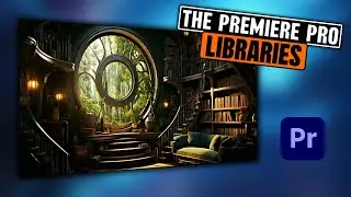 The libraries panel in Adobe Premiere Pro 2025.