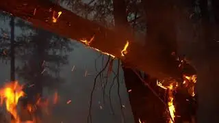 Дым от лесных пожаров в Якутии и Магаданской области накрыл север Камчатки