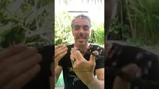 Toma las riendas de tu destino y crea la vida que siempre has soñado.