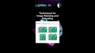 Techniques for Image Resizing and Rescaling 
