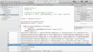 Cocoa Programming L34 - Custom Sheet