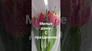 Милые дамы!С праздником!