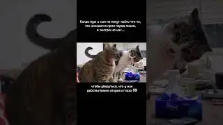 Да не было тут ничего!😂Я смотрел! 