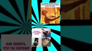 #мем
