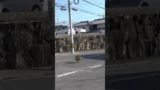 西部劇のあれだ！ころころ！