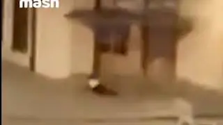 Раненый сотрудник ДПС лежит на земле