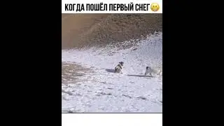 21 ноября 2021 г.