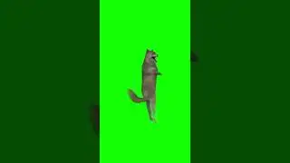Волк танцует по ихвильнихт на зеленом фоне