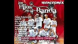 LOS HIJOS DE LA BANDA  CUMBIAS SABROSAS PA BAILAR.....wencesmix