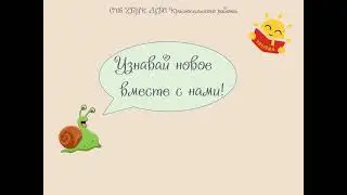 Чистый Петербург: улитка