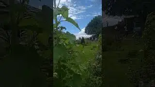 Jai Bijli Mahadev🙏